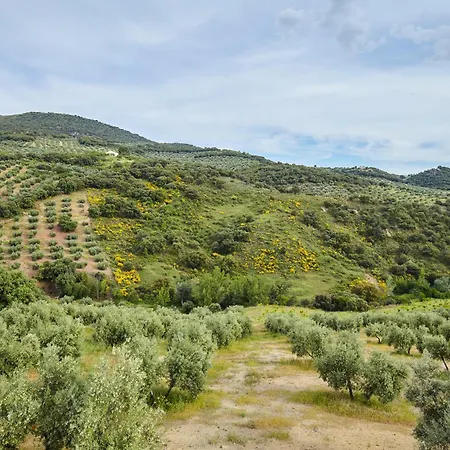 Apartment Cortijo Rural Majolero 3